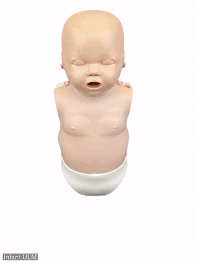 Manequim Lactente Prestan Infant Ultralite (NOVO) - Image 2